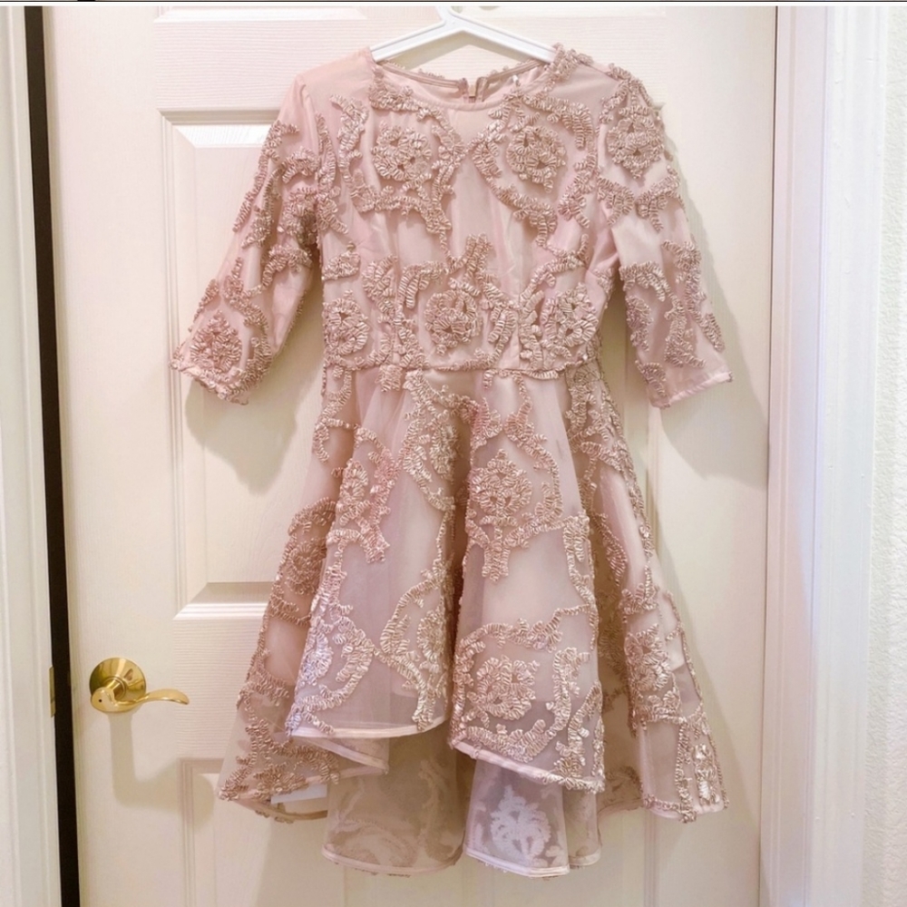 Mesh Dress - Picture 2 of 6